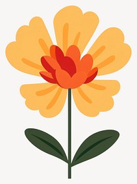 Marigold flower illustration colorful design vector