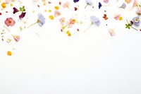 Flowers confetti border minimalist petals arrangement.