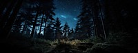 Night sky in the wood landscape scenery nature.