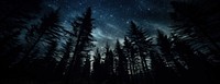 Night sky in the wood outdoors nature forest.