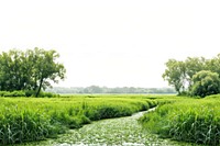 River and grass field landscape nature outdoors scenery.