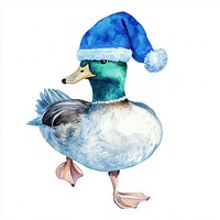 Duck watercolor christmas animal.