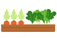 Garden bed illustration vegetables produce.