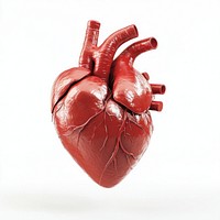 Red Heart heart cardiovascular illustration.