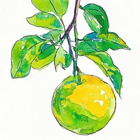 Lime illustration watercolor leaves.