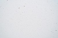 A flat texture of White cardboard white background textured.