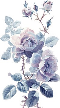 Purple rose flower roses art illustration.