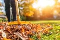 A person raking up leaves in the backyard autumn grass rake.