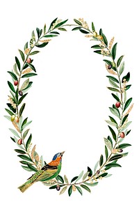 Oval floral frame with green leaves and colorful bird. Leafy design with bird, perfect for nature-themed projects. Elegant frame with bird and leaves. Holiday frame illustration isolated on white.