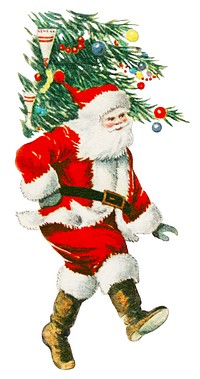 Vintage Santa Claus illustration carrying a Christmas tree. Santa in red suit, white beard, festive tree. Classic holiday Santa, Christmas tree, festive cheer. Vintage holiday illustration isolated.