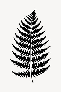 Elegant black fern silhouette art.