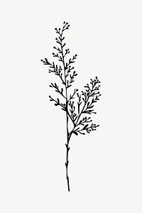 Minimalist botanical black silhouette art vector