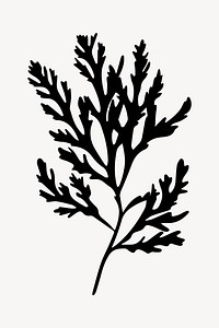 Elegant black botanical silhouette vector