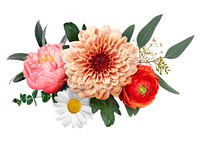 Colorful floral arrangement with pink peony, peach dahlia, red ranunculus, white daisy, and green leaves. Vibrant flowers and leaves in a beautiful bouquet. Floral element isolated on white.