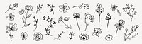 A collection of hand-drawn floral illustrations featuring various flowers and leaves. These floral designs showcase simple, elegant flowers and leaves. Cute hand drawn floral elements, vector set.