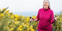 Elderly woman hiking with poles, smiling in nature. Elderly woman enjoying outdoor activity. Elderly woman in a red sweater surrounded by yellow flowers. Senior woman hiking in nature.