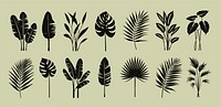 Silhouettes of tropical plant leaves, vector element set