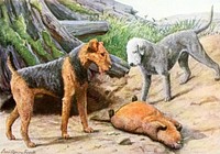 Airedale Terrier and Bedlington Terrier from The book of dogs (1919) by Louis Agassiz Fuertes and Ernest Harold Baynes Digitally enhanced by rawpixel.