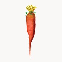 Vibrant carrot illustration on white vector. Remixed by rawpixel.