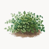 Lush green plant illustration vector. Remixed by rawpixel.