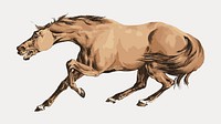 Light-brown horse sticker, vintage illustration isolated on white, vector. Remixed by rawpixel.