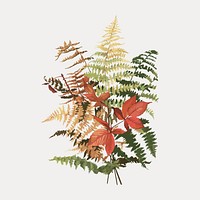 Autumn ferns chromolithograph art, vintage vector element. Remixed by rawpixel.