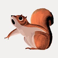 Squirrel chromolithograph art, vector element. Remixed by rawpixel.