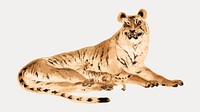 Reclining tiger, vintage animal illustration  isolated on white, vector. Remixed by rawpixel.