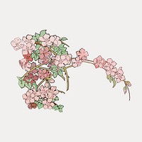 Pink flowers, vintage botanical illustration, isolated vector element. Remixed by rawpixel.