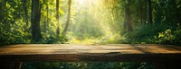 Empty wooden table top sunlight nature forest.