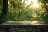 Empty wooden table top sunlight nature forest.