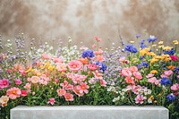 White line texture podium flowers spring garden.