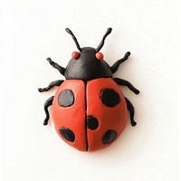 Ladybug insect clay invertebrate.