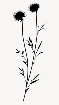 Wild flower Fleabane illustration silhouette minimalist vector