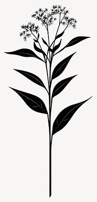 Wild flower illustration minimalist design vector