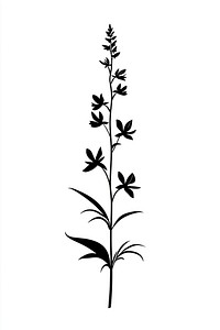 Wild flower Cardinal Flower illustration silhouette minimalist.