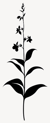 Wild flower Coralroot illustration silhouette minimalist vector