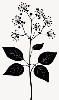 Wild flower White Baneberry illustration minimalist leaves vector