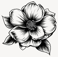 Flower art illustration drawing vector