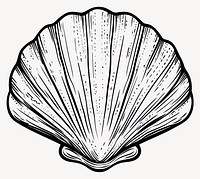 Shell illustration seashell design vector