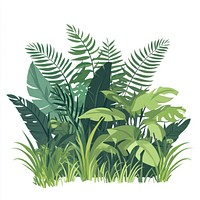 Jungle foliage bush illustration nature plants.