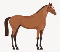 Horse illustration animal vector vector