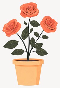 Rose flower potted plant roses illustration terracotta vector