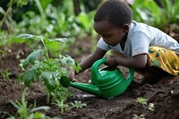 Outdoors garden gardening watering.