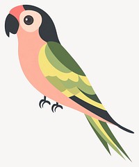 Parrot illustration animal design vector