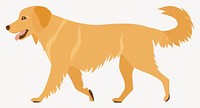 Dog Golden retrieve walking illustration animal golden vector