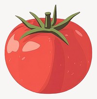 Tomato illustration vegetable design vector