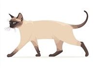 Tonkinese cat illustration siamese animal.