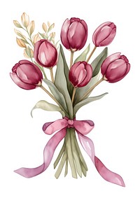 Pastel coquette burgundy tulips bouquet art illustration watercolor.