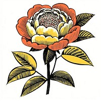 Chinese peony drawing flower art.